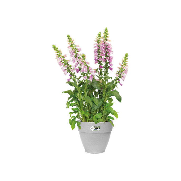 vibia campana round 25cm living concrete